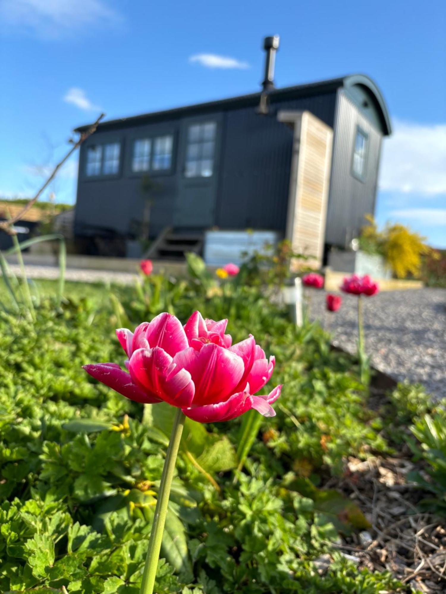 The Winford Retreat Villa Екстериор снимка